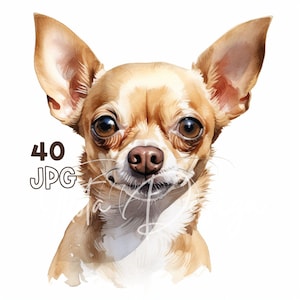 Chihuahua Clipart - 40 hoge kwaliteit JPG's - Digitale Planner, Junk Journaling, Aquarel, Muurkunst, Commercieel Gebruik, Digitale Download, Mokken