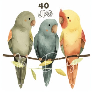 Parrot Trio Clipart - 40 High Quality JPGs - Digital Planner, Junk Journaling, Watercolor, Commercial Use, Digital Download, Mugs, Apparel