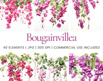 Bougainvillea Clipart - 40 High Quality JPG - Digital Planner, Junk Journaling, Watercolor, Wall Art, Commercial Use, Digital Download, Mugs