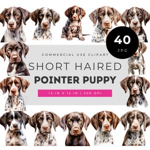 Short Haired Pointer Puppy Clipart Bundle, Realistic Dog Portrait Illustrations, Cute Hunting Dog Puppies for Sublimation Crafts
