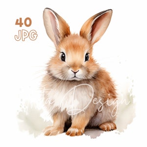Fluffy Bunny Clipart - 40 JPG di alta qualità - Pianificatore digitale, Junk Journaling, Acquerello, Uso commerciale, Download digitale, Tazze, Abbigliamento