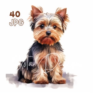 Yorkshire Terrier Clipart - 40 High Quality JPGs - Digital Planner, Junk Journaling, Watercolor, Commercial Use, Digital Download, Mugs