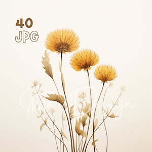 Tussilago Farfara Clipart - 40 High Quality JPGs - Digital Planner, Junk Journaling, Watercolor, Wall Art, Commercial Use, Digital Download