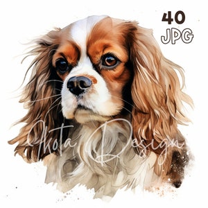 Cavalier King Charles Spaniel Clipart - 40 High Quality JPGs - Digital Planner, Junk Journaling, Watercolor, Wall Art, Commercial Use, Mugs