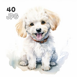 白いプードルの子犬のクリップアート - 40 枚の高品質 JPG - デジタル プランナー、ジャンク ジャーナリング、水彩画、ウォール アート、商用利用、デジタル ダウンロード