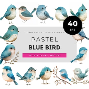 Pastel Blue Bird Clipart Set, Cute Watercolor Birds Illustration, Spring Nursery Art, Soft Nature Animal PNG for Invitations