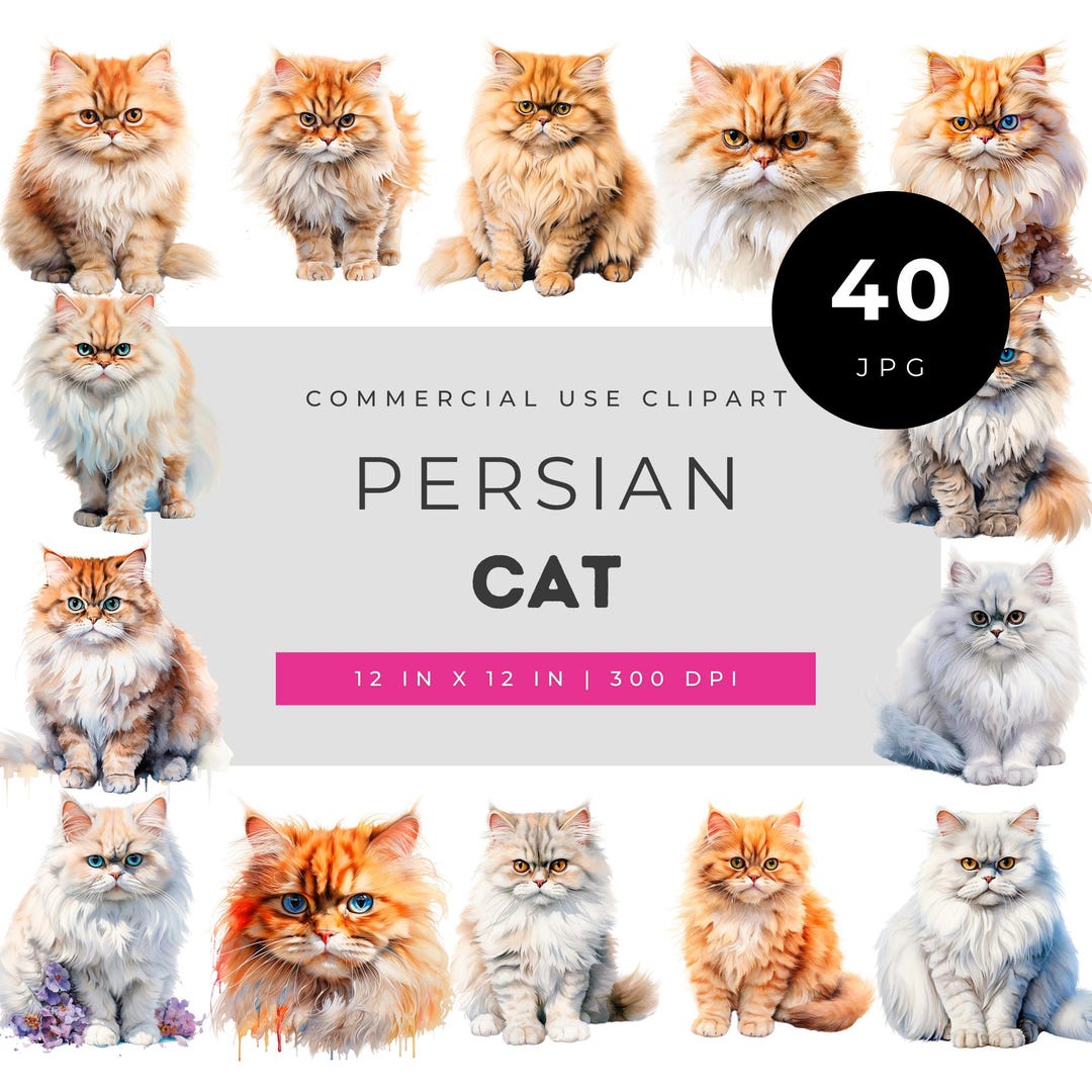 Persian Cat Clipart Set, Fluffy Long Hair Cats Watercolor Illustrations ...