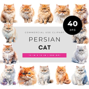 Perserkatzen-Clipart-Set, flauschige Langhaarkatzen-Aquarellillustrationen, elegante Haustierporträts für Aufkleber, Drucke, Karten & Dekoration