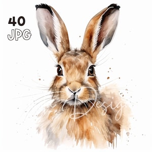 Haas clipart-40 hoge kwaliteit JPG-digitale planner, junk journaling, aquarel, kunst aan de muur, commercieel gebruik, digitale download, mokken, kleding