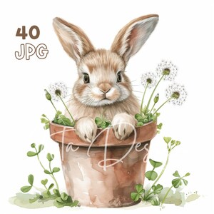 Hase & Löwenzahn Clipart - 40 hochwertige JPGs - Digitaler Planer, Junk Journaling, Aquarell, Wandkunst, kommerzielle Nutzung, Tassen, Bekleidung