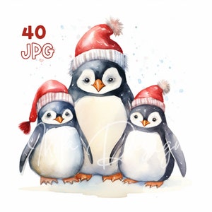 Christmas Penguin Family Clipart - 40 JPG de haute qualité - Planificateur numérique, Junk Journaling, Aquarelle, Utilisation commerciale, Téléchargement numérique