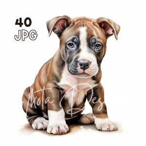 Staffordshire Bull Terrier puppy aquarel clipart bundel, schattige gestroomde hond afdrukbare kunst voor reddingscadeaus, knutselwerkjes voor dierenliefhebbers, kaartontwerp
