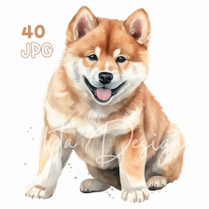 秋田犬の子犬クリップアート - 40 高品質 JPG - デジタル プランナー、ジャンク ジャーナリング、水彩、商用利用、デジタル ダウンロード、マグカップ、アパレル
