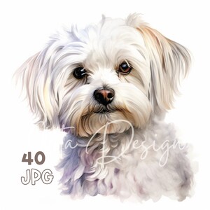 Clipart maltais - 40 JPG de haute qualité - Planificateur numérique, Junk Journaling, Aquarelle, Art mural, Utilisation commerciale, Téléchargement numérique, Tasses