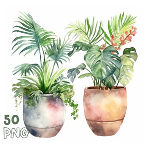 Potted house plants watercolor clipart bundle, indoor plant lover digital illustrations for botanical planner stickers, printable wall art