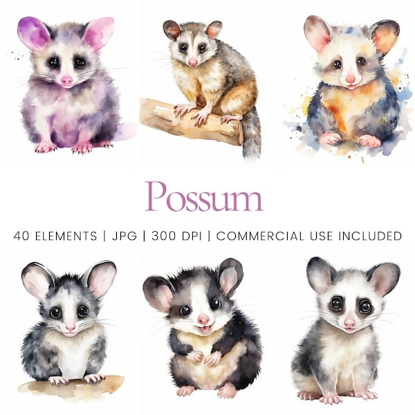 Possum Clipart - 40 High Quality JPGs - Digital Planner, Junk Journaling, Watercolor, Commercial Use, Digital Download, Mugs, Apparel