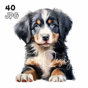 Berner Bergwelpe Clipart - 40 hochwertige JPG - Digitaler Planer, Junk Journaling, Aquarell, Wandkunst, kommerzielle Nutzung, Tassen, Bekleidung