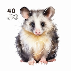 Possum Clipart - 40 hoge kwaliteit JPG's - Digitale Planner, Junk Journaling, Aquarel, Commercieel Gebruik, Digitale Download, Mokken, Kleding