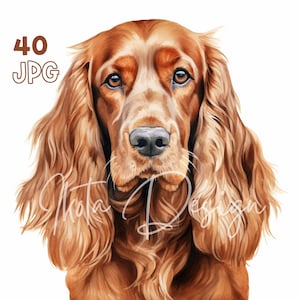 Engelse Cocker Clipart - 40 hoge kwaliteit JPG - Digitale Planner, Junk Journaling, Aquarel, Muurkunst, Commercieel Gebruik, Digitale Download, Mok