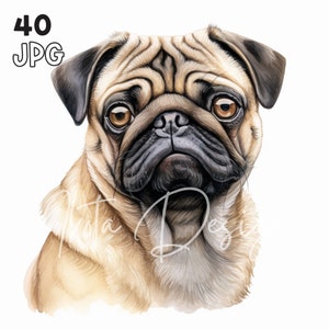 パグクリップアート - 40 枚の高品質 JPG - デジタル プランナー、ジャンク ジャーナリング、水彩画、ウォール アート、商用利用、デジタル ダウンロード、マグカップ、アパレル
