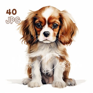 Cavalier King Charles Puppy Clipart - 40 JPG di alta qualità - Pianificatore digitale, Junk Journaling, Acquerello, Arte della parete, Uso commerciale, Tazze