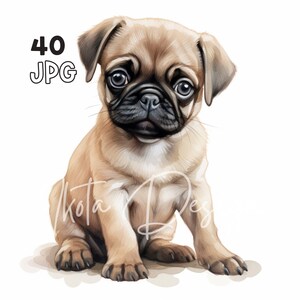 パグ子犬クリップアート - 40 枚の高品質 JPG - デジタル プランナー、ジャンク ジャーナリング、水彩、商用利用、デジタル ダウンロード、マグカップ、アパレル