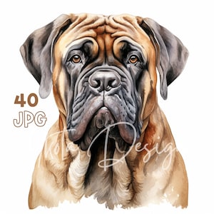 Mastiff Clipart - 40 hoge kwaliteit JPG's - Digitale Planner, Junk Journaling, Aquarel, Muurkunst, Commercieel Gebruik, Digitale Download, Mokken