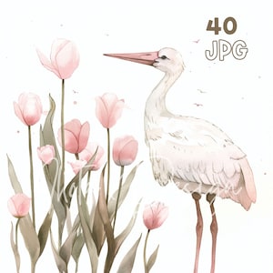 White Stork Clipart - 40 JPG de haute qualité - Planificateur numérique, Junk Journaling, Minimaliste, Utilisation commerciale, Téléchargement numérique, Pépinière, Tasses