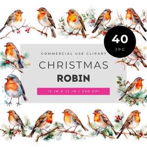 May include: A collection of watercolor robin illustrations featuring various poses on branches with holly berries. The central text reads COMMERCIAL USE CLIPART CHRISTMAS ROBIN 12 IN X 12 IN | 300 DPI and a black circle displays 40 JPG.