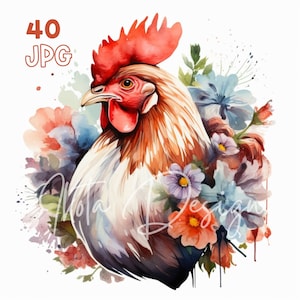 Chicken with Flowers Clipart - 40 High Quality JPGs - Digital Planner, Junk Journaling, Watercolor, Wall Art, Commercial Use, Digital, Mugs