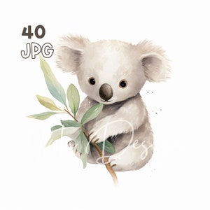 Baby Koala Clipart - 40 JPG di alta qualità - Pianificatore digitale, Junk Journaling, Acquerello, Uso commerciale, Download digitale, Tazze, Asilo nido