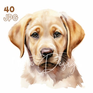 ラブラドールレトリバーの子犬のクリップアート - 40 枚の高品質 JPG - デジタル プランナー、ジャンク ジャーナリング、水彩、商用利用、デジタル ダウンロード