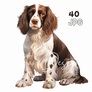 Spaniel Dog Sitting Clipart - 40 hoge kwaliteit JPG's - Digitale Planner, Junk Journaling, Aquarel, Commercieel Gebruik, Digitale Download