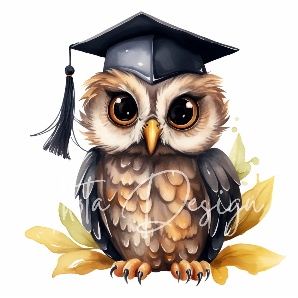 Graduation Owl Clipart Set, Cute Watercolor Graduate Owls With Caps ...
