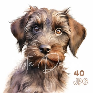 ワイヤーヘアード グリフォンの子犬クリップアート - 40 枚の高品質 JPG - デジタル プランナー、ジャンク ジャーナリング、水彩画、ウォール アート、商用利用、マグカップ