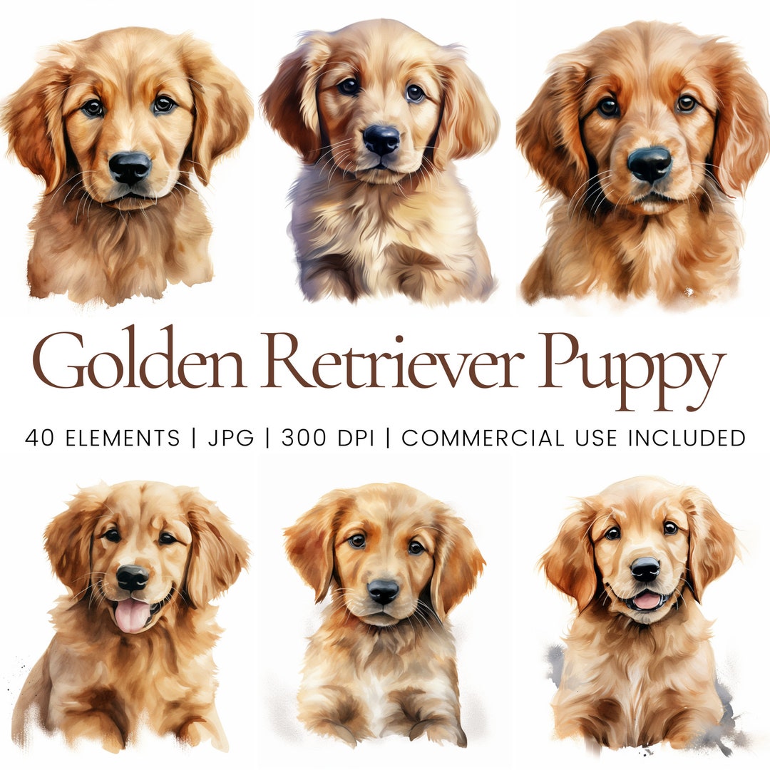 Golden Retriever Puppy Clipart 40 High Quality Jpgs Digital Planner