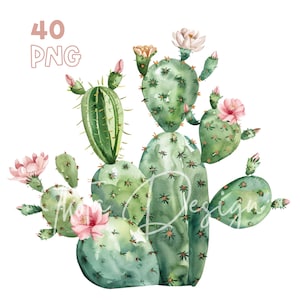 Acquerello Cactus Clipart - 40 PNG di alta qualità - Pianificatore digitale, Junk Journaling, Acquerello, Arte della parete, Uso commerciale, Download digitale