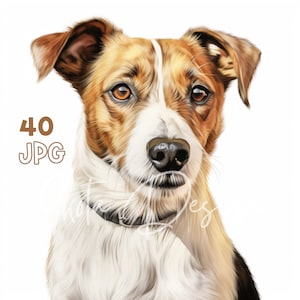 ジャック ラッセル クリップアート - 40 枚の高品質 JPG - デジタル プランナー、ジャンク ジャーナリング、水彩画、ウォール アート、商用利用、デジタル ダウンロード、マグカップ