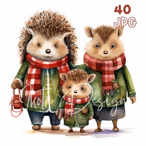 クリスマス ハリネズミの家族のクリップアート - 40 枚の高品質 JPG - デジタル プランナー、ジャンク ジャーナリング、水彩、商用利用、デジタル ダウンロード