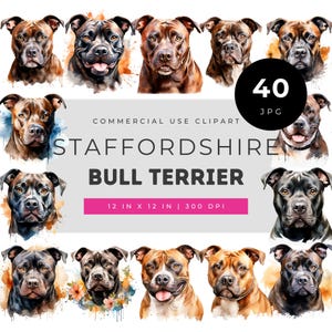 Staffordshire Bull Terrier Dog Clipart Collection, Muscular Loyal Staffy Portraits, Strong Family Pet Art for Nursery Decor Crafts