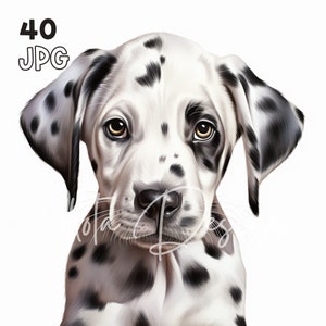 Dalmatian Puppy Clipart - 40 High Quality JPG - Digital Planner, Junk Journaling, Watercolor, Commercial Use, Digital Download, Mug, Apparel