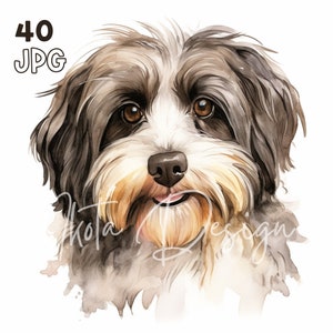 Havanese Clipart - 40 High Quality JPGs - Digital Planner, Junk Journaling, Watercolor, Wall Art, Commercial Use, Digital, Mugs, Apparel