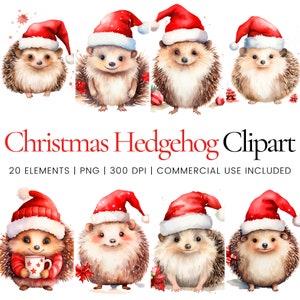 Clipart de ouriço de Natal - 20 PNGs de alta qualidade - planejador digital, diário de lixo, aquarela, arte de parede, uso comercial, download digital