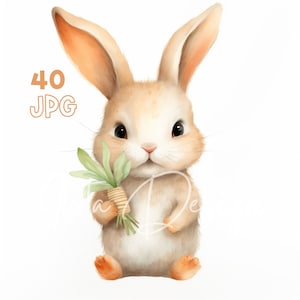 Carrot Bunny Clipart - 40 High Quality JPGs - Digital Planner, Junk Journaling, Watercolor, Commercial Use, Digital Download, Mugs, Nursery