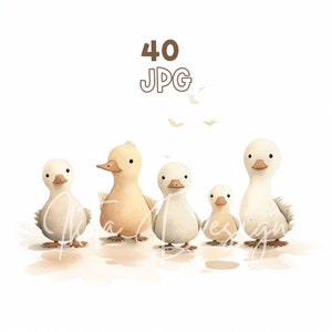 Adorable Ducklings Clipart - 40 High Quality JPGs - Digital Planner, Junk Journaling, Minimalist, Commercial Use, Digital Download, Nursery