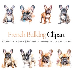 Franse Bulldog Clipart - 40 PNGs van hoge kwaliteit - Digitale Planner, Junk Journaling, Aquarel, Commercieel Gebruik, Digitale Download
