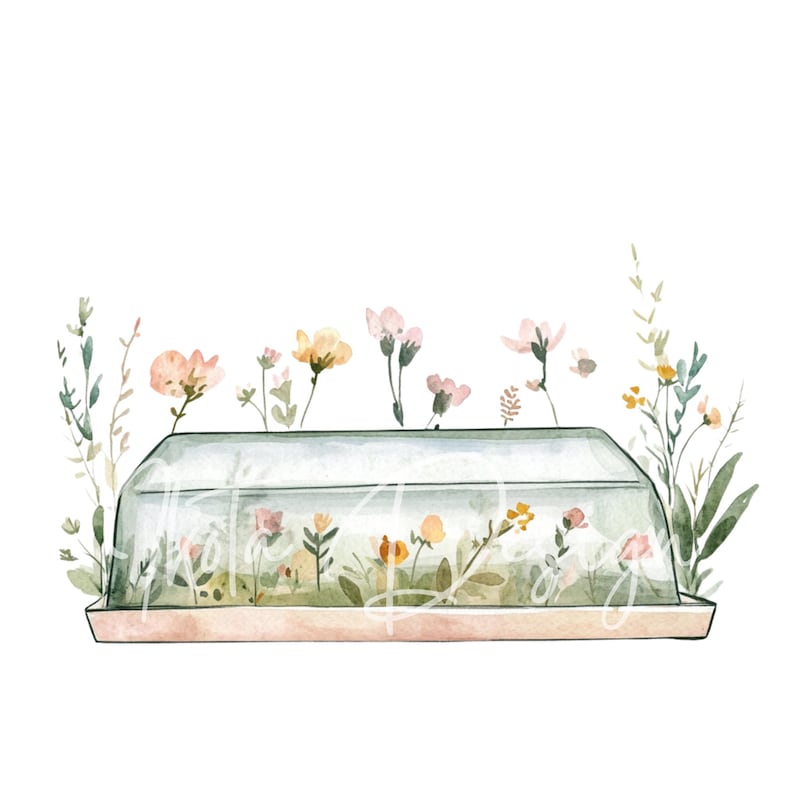 May include: A watercolor illustration of a glass cloche with a pink and peach floral arrangement inside. The cloche is sitting on a pink tray. The flowers are surrounded by green foliage.
