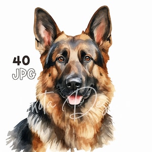 German Shepherd Clipart - 40 High Quality JPGs - Digital Planner, Junk Journaling, Watercolor, Wall Art, Commercial Use, Digital Download