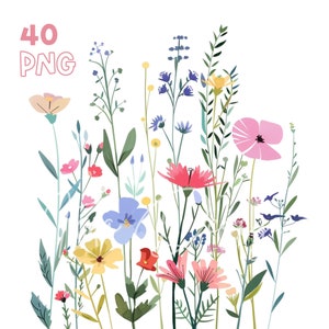 パステル ワイルドフラワー クリップアート - 40 個の高品質 PNG - デジタル プランナー、ジャンク ジャーナリング、水彩、ウォール アート、商用利用、デジタル ダウンロード