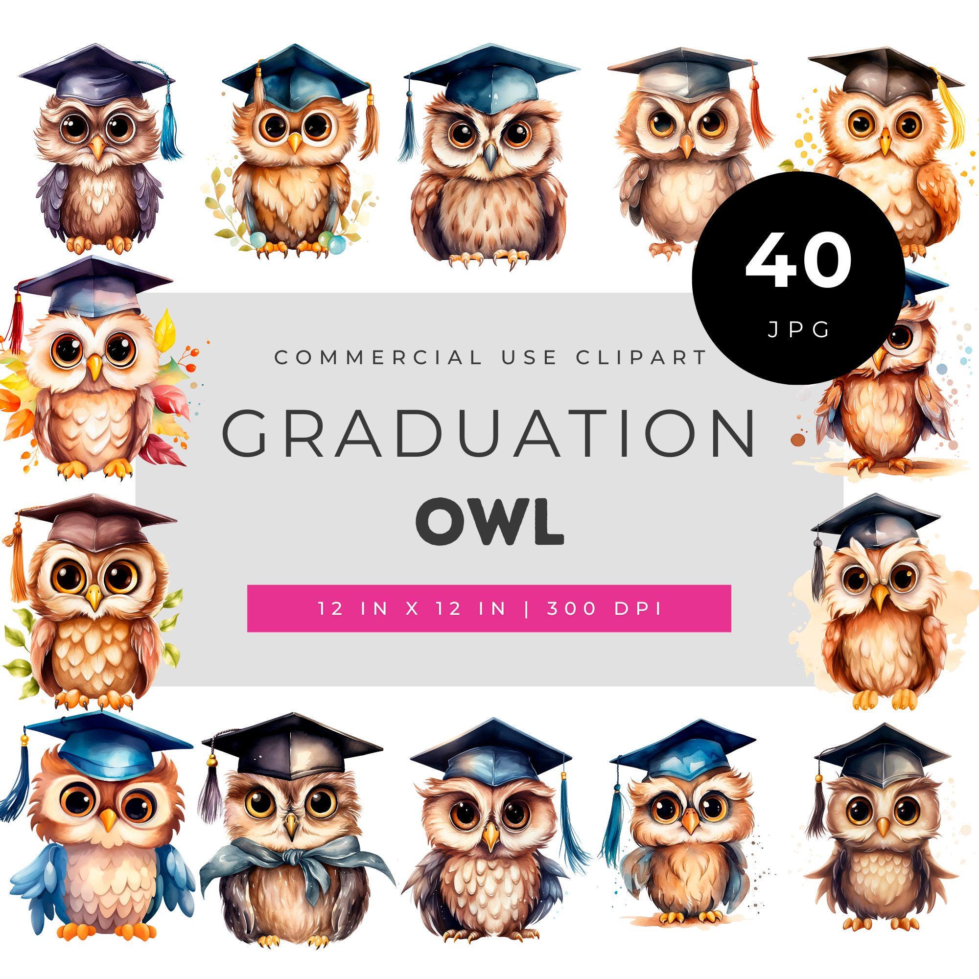Graduation Owl Clipart Set, Cute Watercolor Graduate Owls with Caps, School Celebration Art for Invi